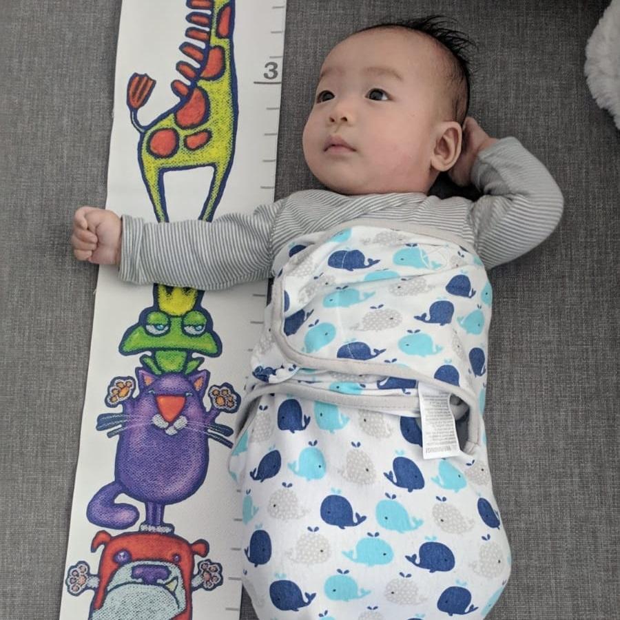 animal friends canvas growth chart